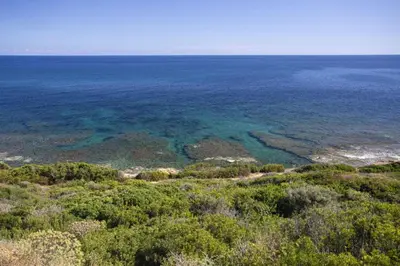 Paesaggio naturale nelle vicinanze della villa