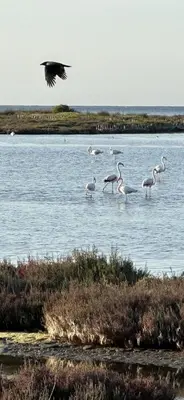 Paesaggio naturale nelle vicinanze della casa vacanze