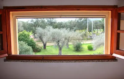 Giardino di Il Nido del Falco