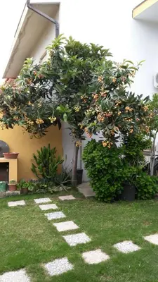 Giardino di Casa vacanze Rose E Fiori Sardegna
