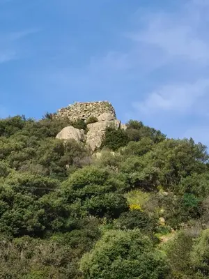 Paesaggio naturale nelle vicinanze della villa