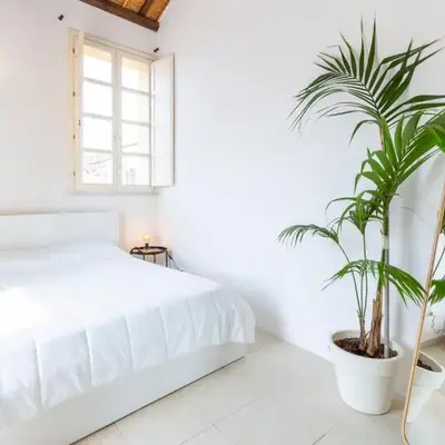Penthouse with Terrace in historic centre